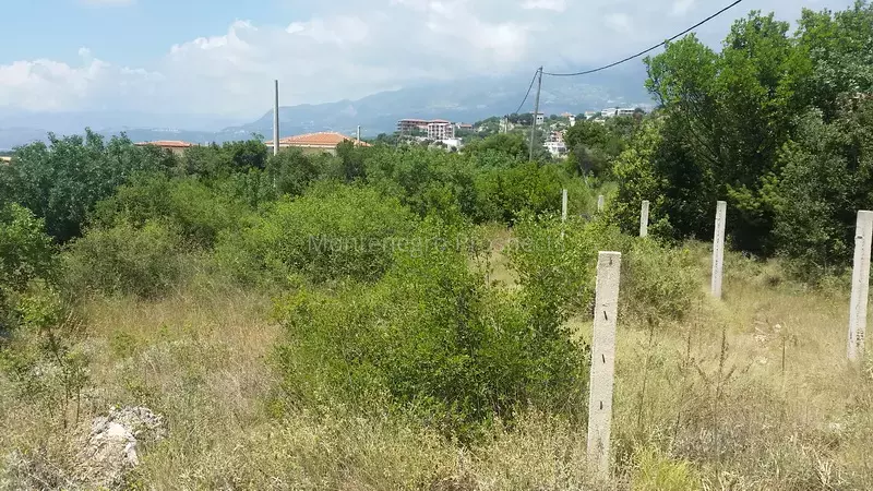 20150616 140451 novyy razmer.jpg